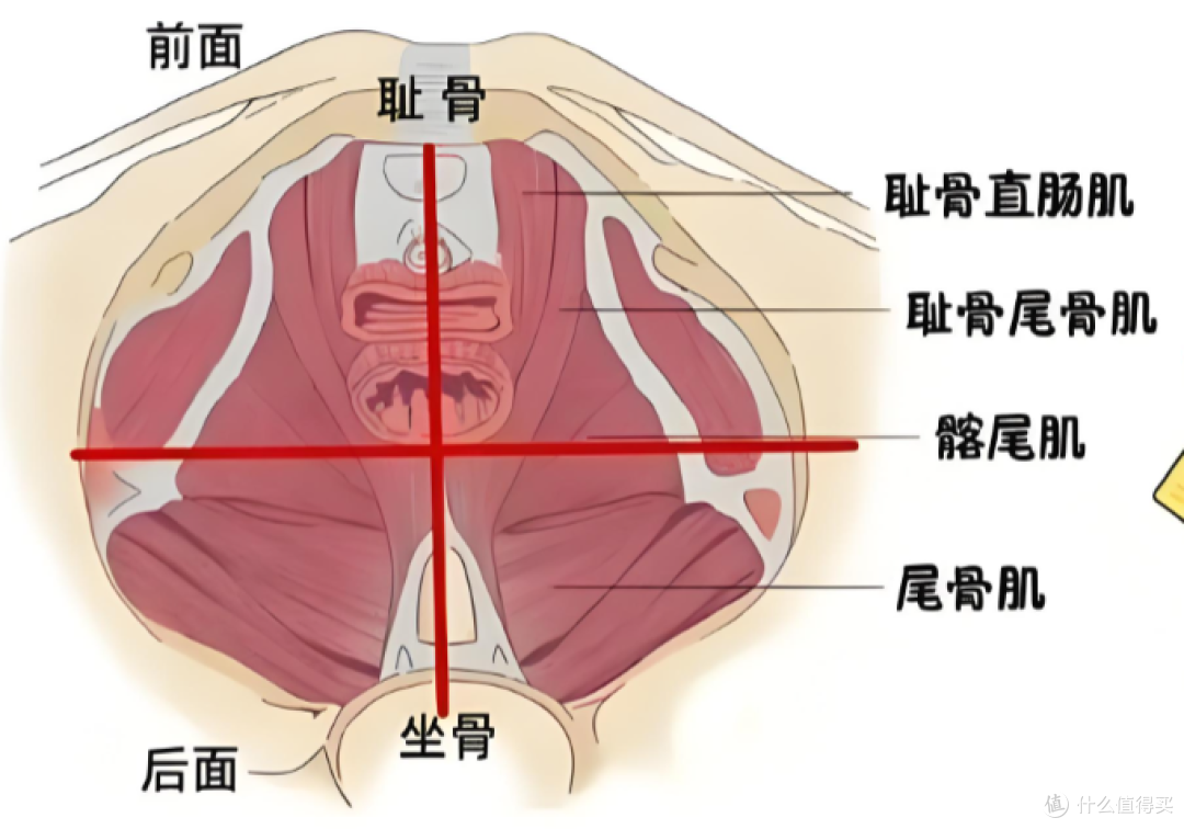 从“快男”到“掌控节奏”,超有效延时攻略大放送!附618囤货指南