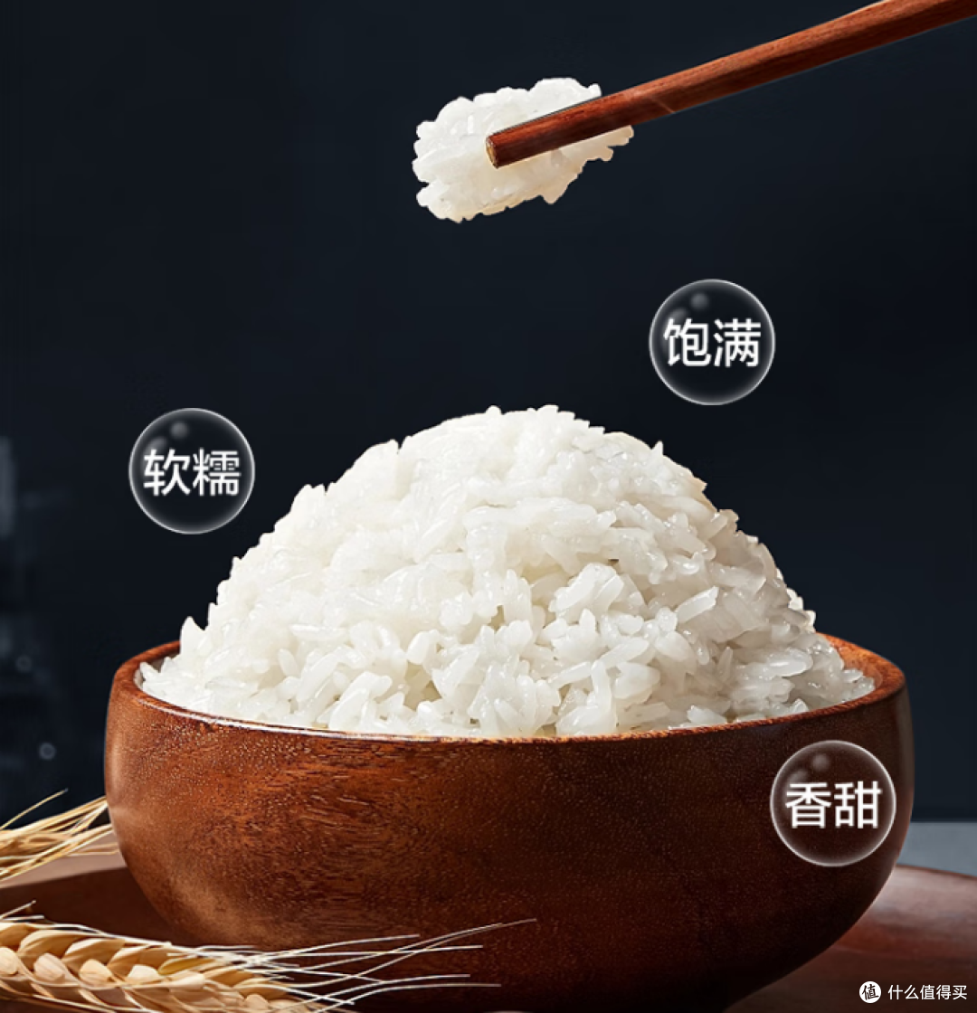 618电饭锅怎么选?煮出好饭才靠谱!格力高品质电饭锅选购指南
