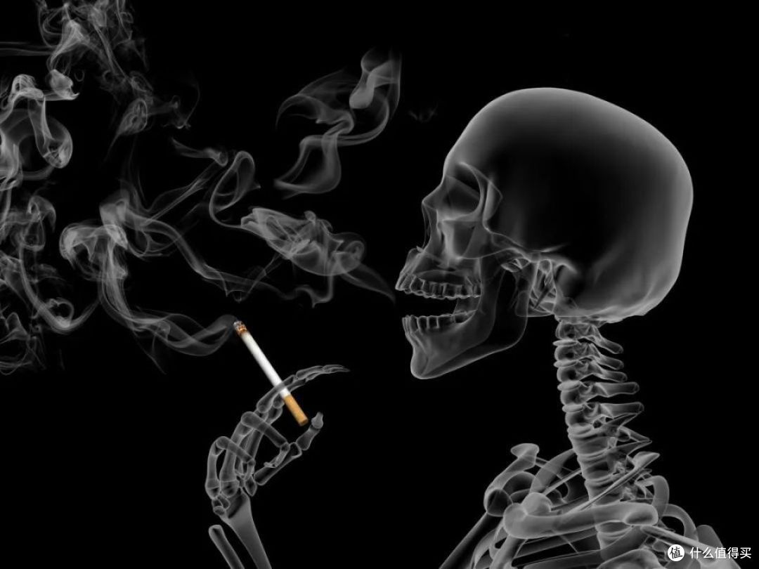 烟草的"好"聊完了，现在该聊聊它有多"坏"了