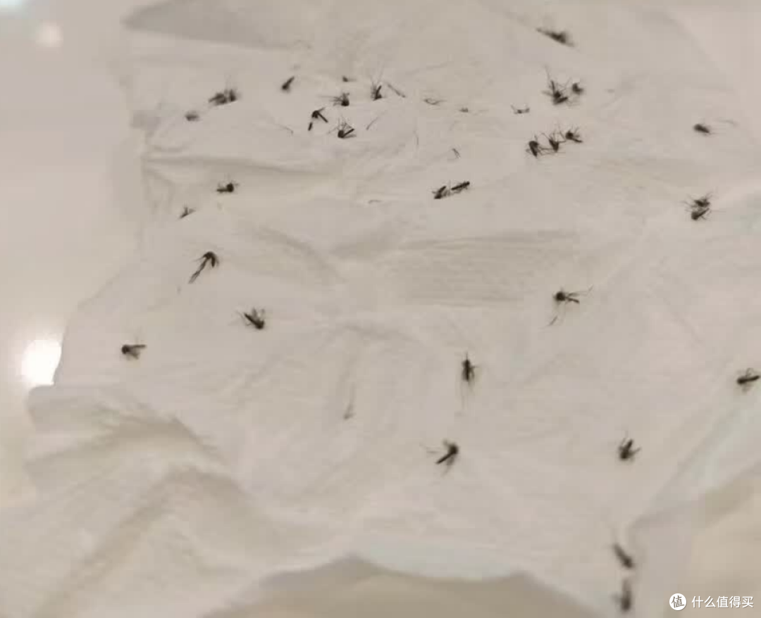 电灭蚊器有用吗?能灭蚊吗?2026电子灭蚊灯十大品牌排行榜公布