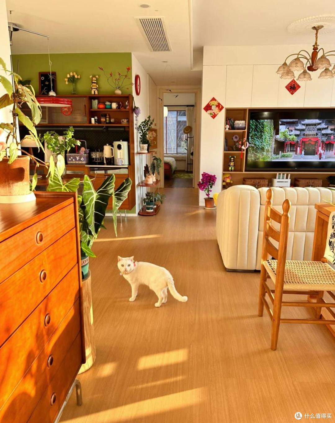 东户vs西户,住过才有发言权!我换房后才知道,差距原来这么大!