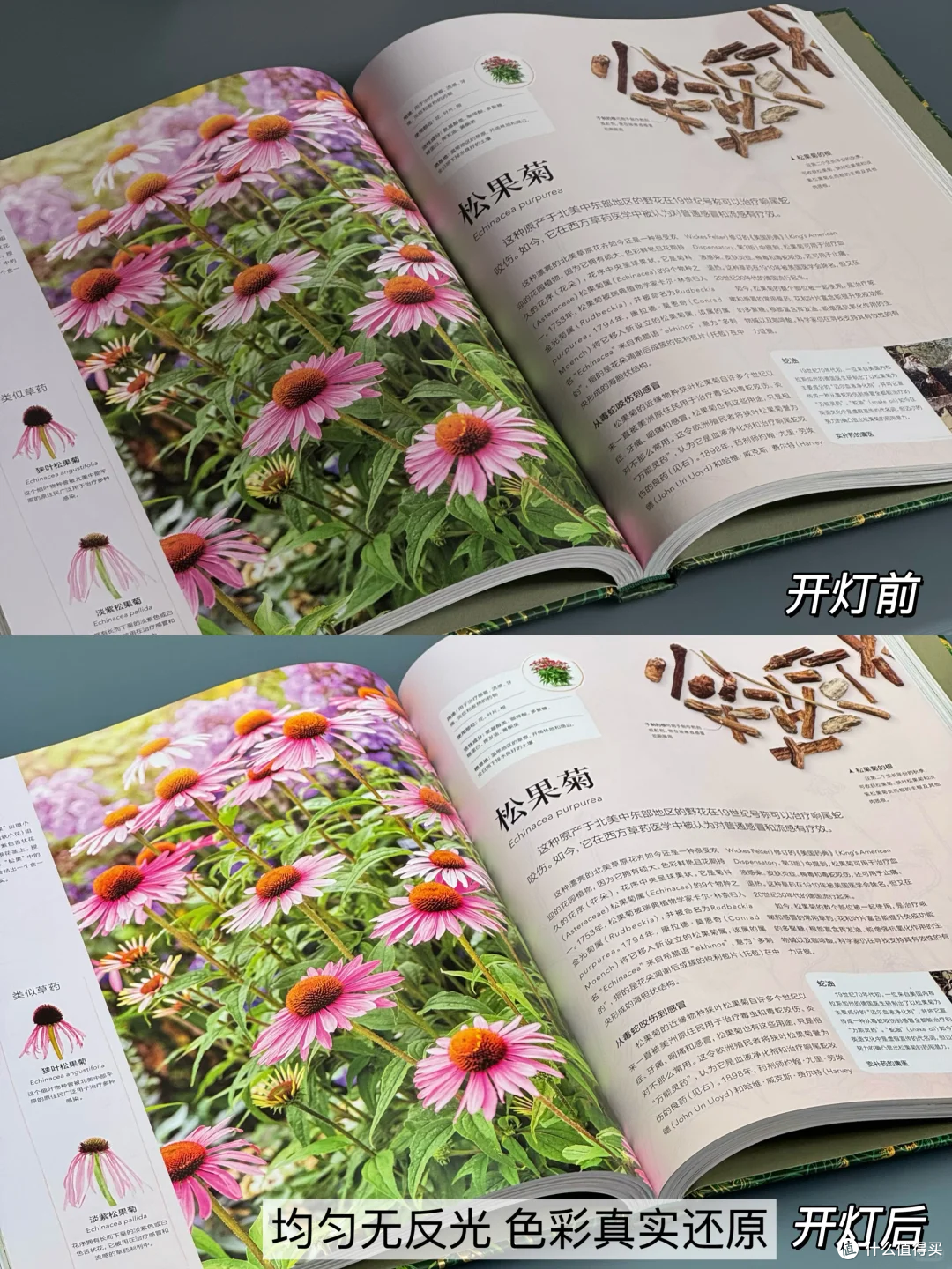 客厅写作业护眼大路灯排行榜，第一名适不适合普通家用？