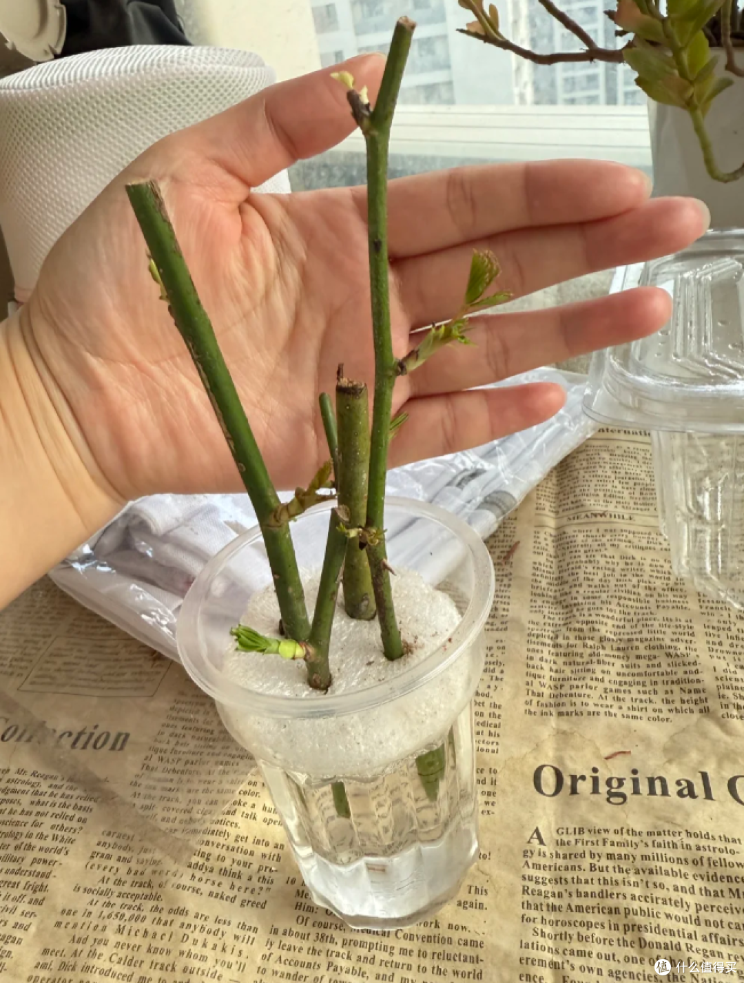 过期的“阿司匹林”不要扔,碾碎后这样用,解决好多生活痛点!