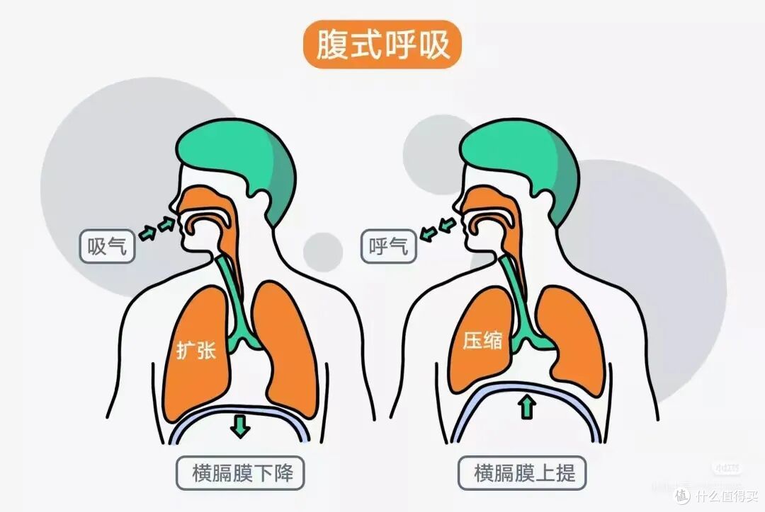 春夏养肺正当时!一套完整养护方案,远离咳嗽鼻炎反复犯