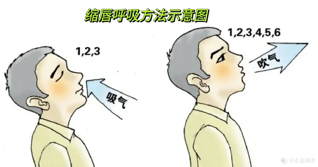 春夏养肺正当时!一套完整养护方案,远离咳嗽鼻炎反复犯