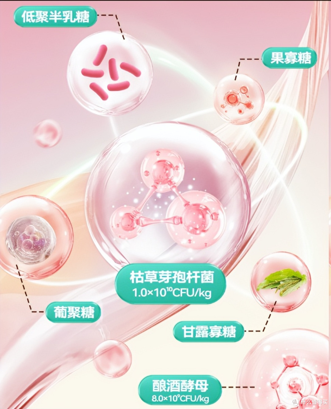 馋不腻烘焙狗粮怎么样？值不值得买？馋不腻烘焙狗粮全方位解析