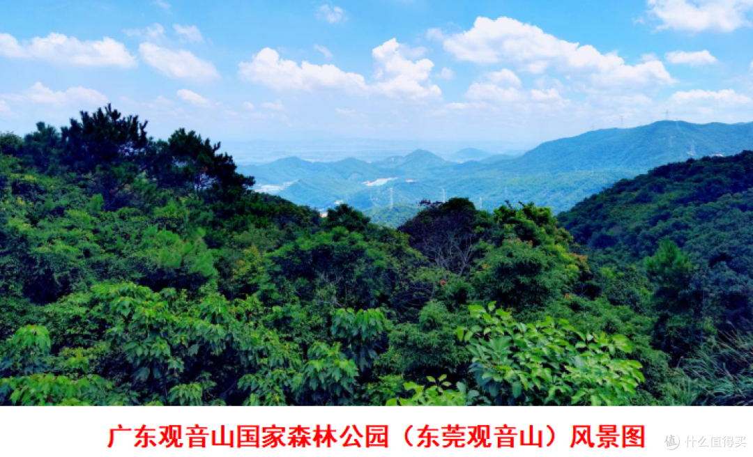 生态法典时代,岂能容“青山”被啃食?