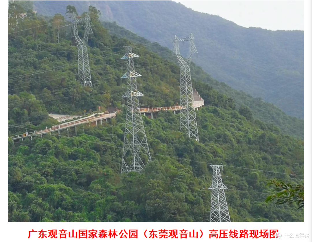 生态法典时代,岂能容“青山”被啃食?