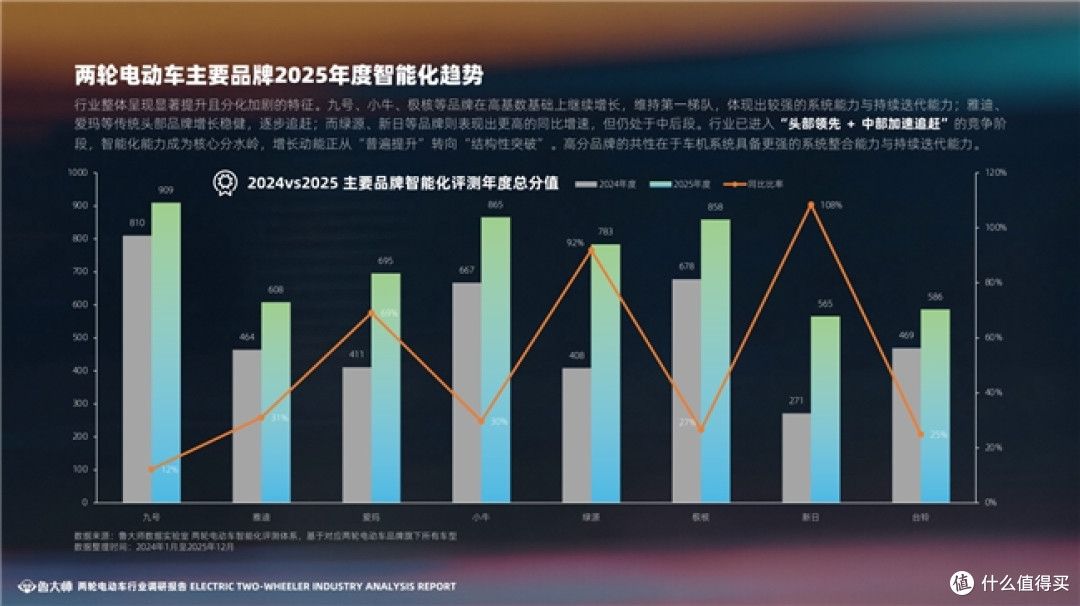 鲁大师2025两轮电动车行业调研报告