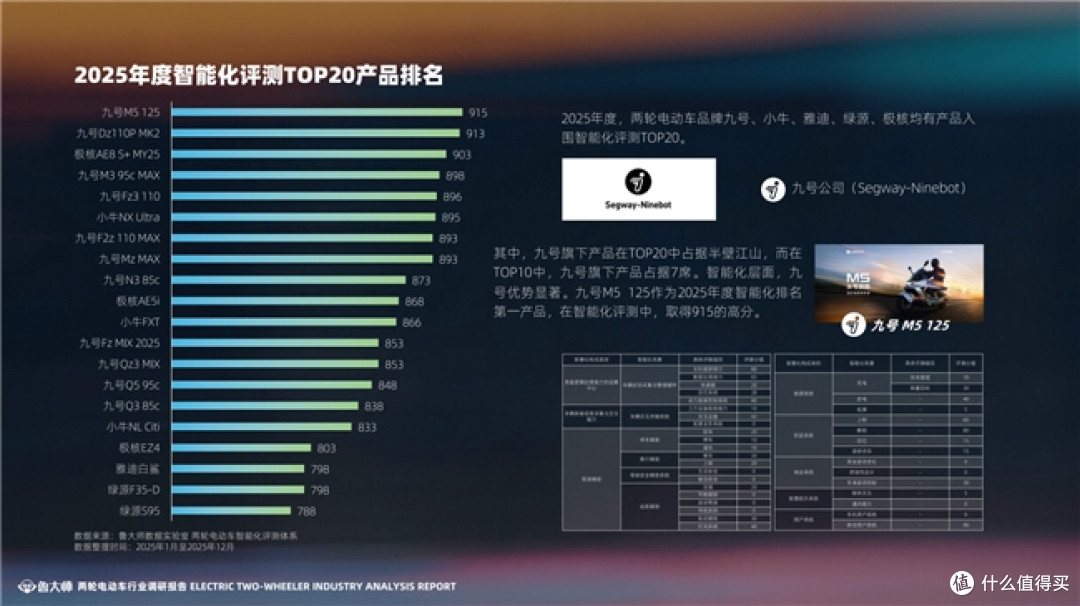 鲁大师2025两轮电动车行业调研报告