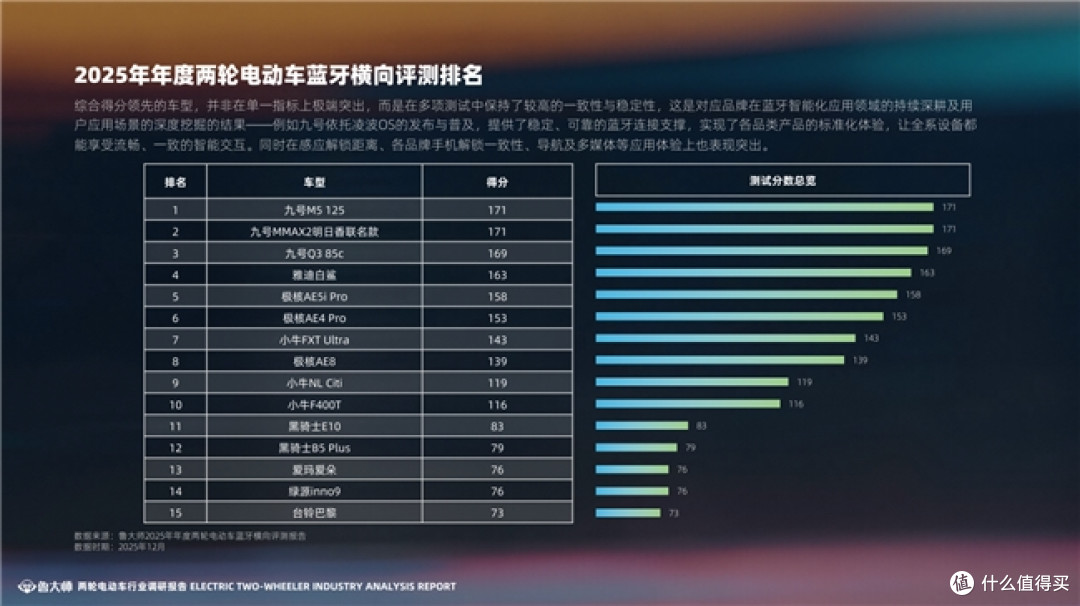 鲁大师2025两轮电动车行业调研报告