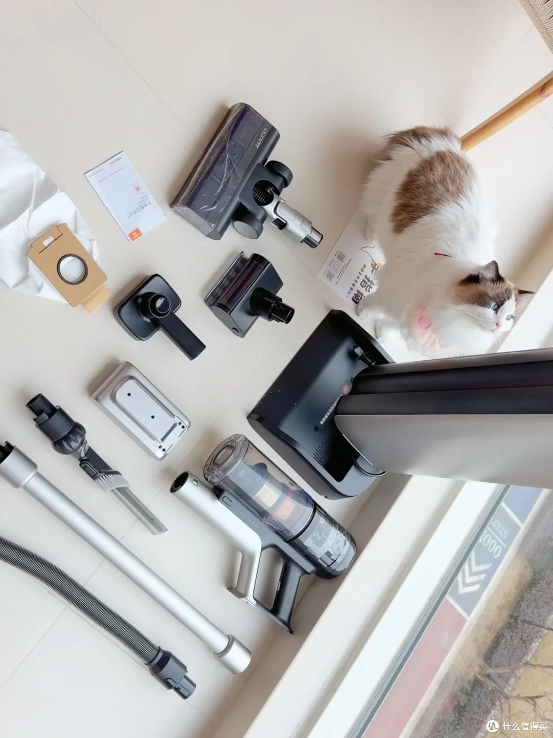 布偶猫掉毛噩梦:猫毛会吸入肺里吗?租房养猫全套除猫毛清洁指南