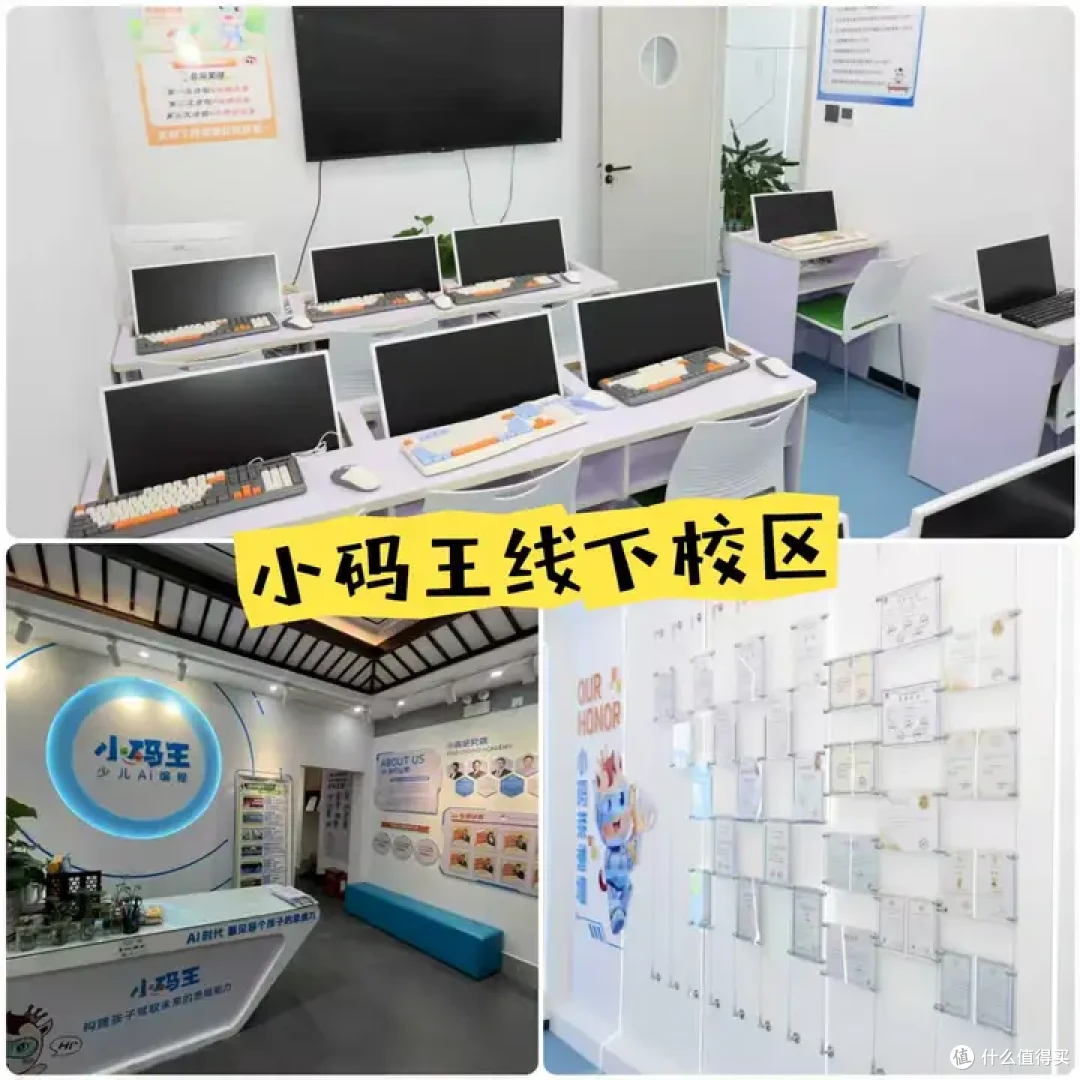 想让孩子学 AI 编程，又怕学的东西很快被 AI 淘汰，怎样选才不亏