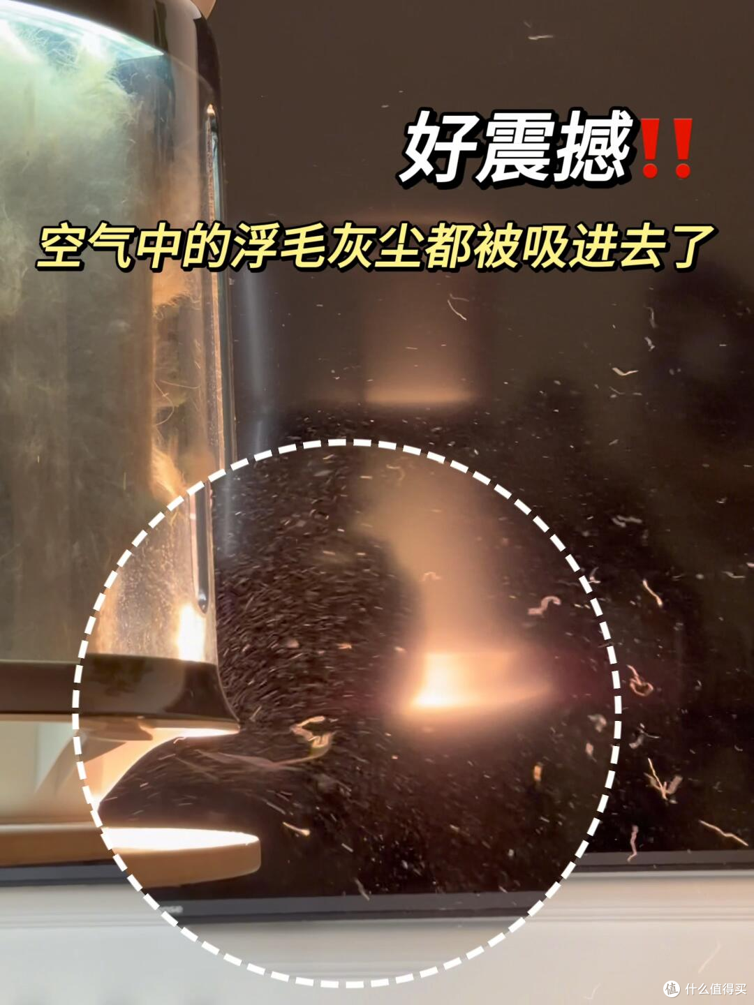 家里猫毛满天飞，宠物空净到底怎么选？莱克C9铲毛官适合养猫家庭