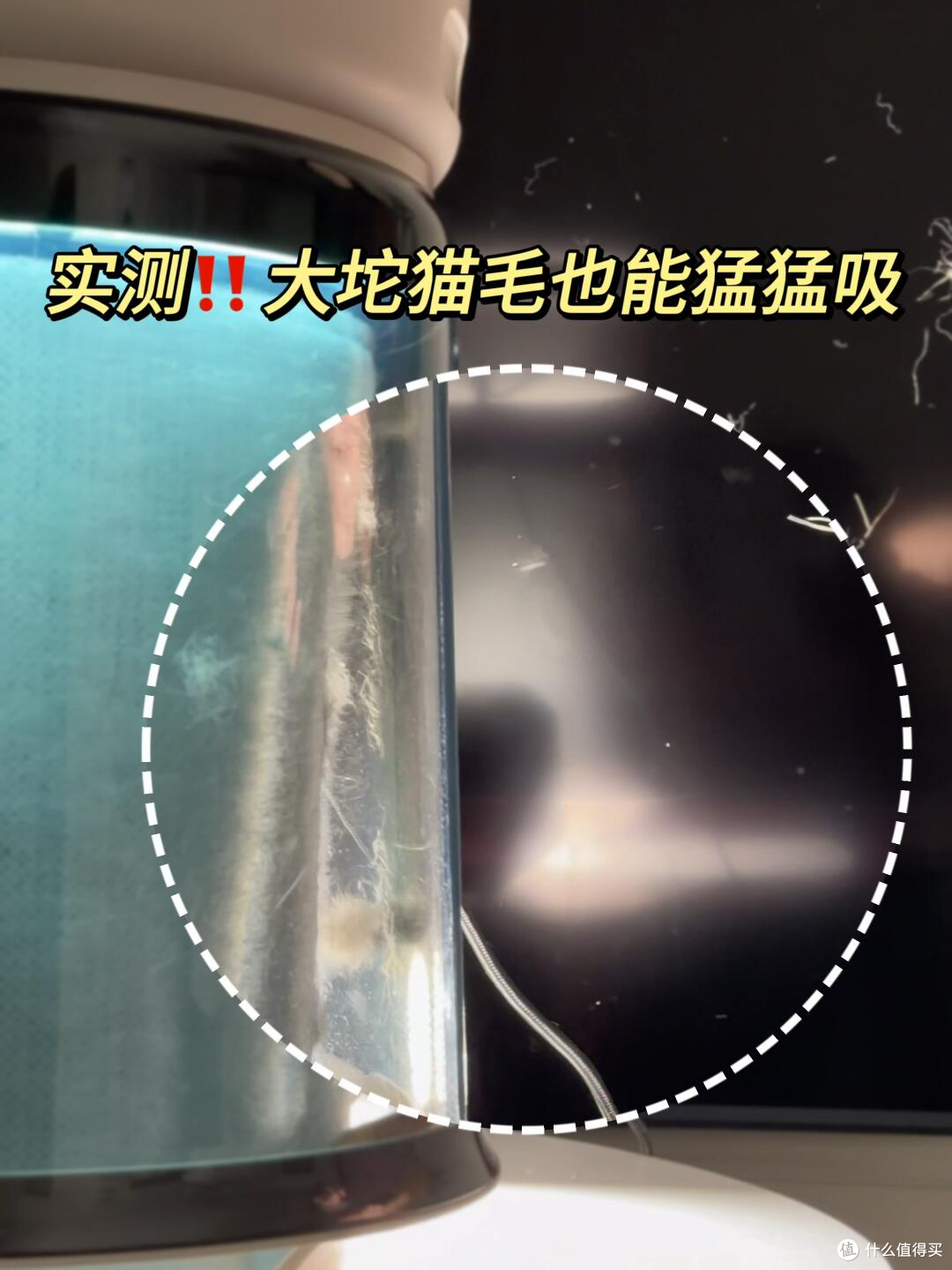 家里猫毛满天飞，宠物空净到底怎么选？莱克C9铲毛官适合养猫家庭