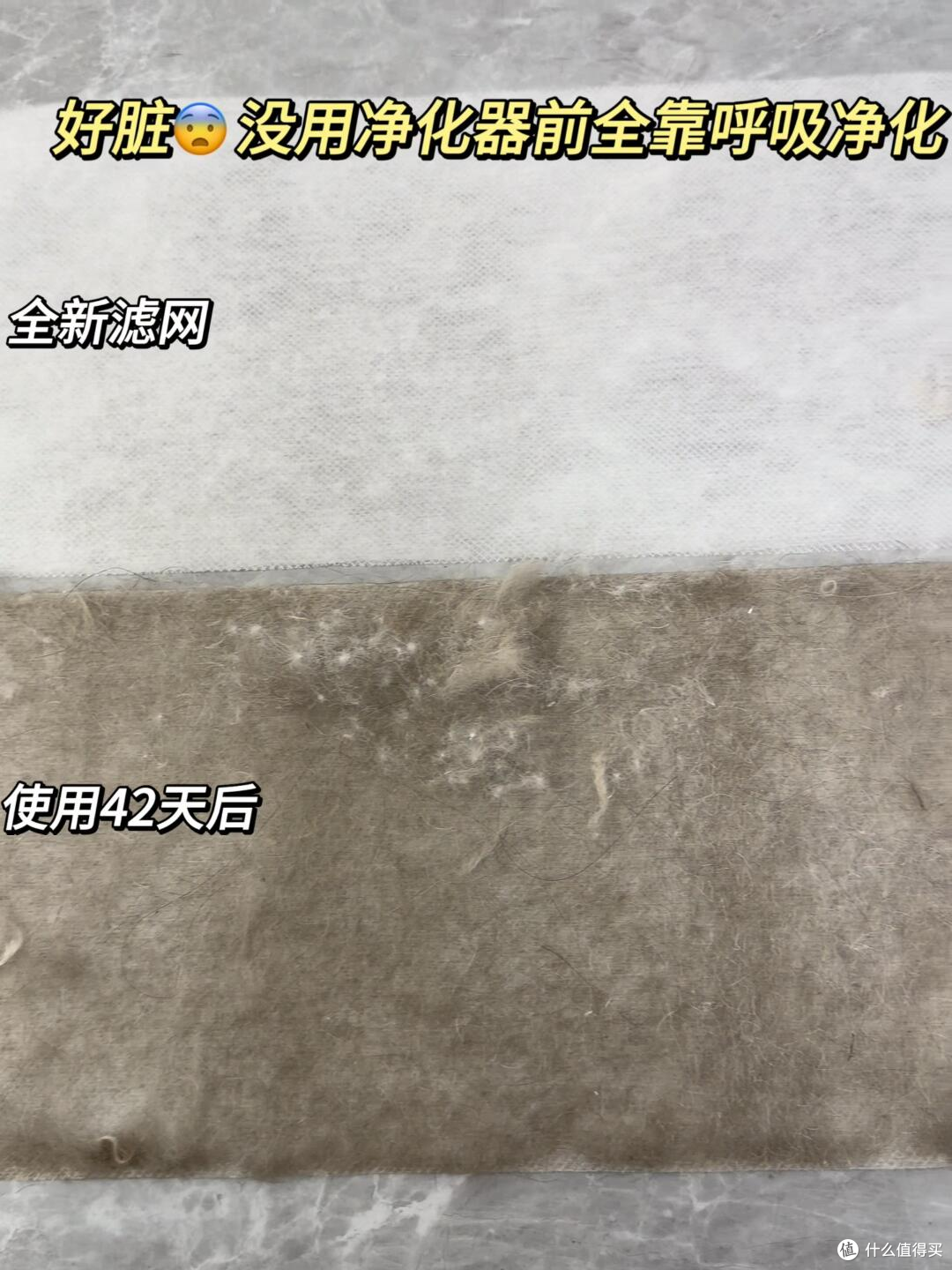 家里猫毛满天飞，宠物空净到底怎么选？莱克C9铲毛官适合养猫家庭