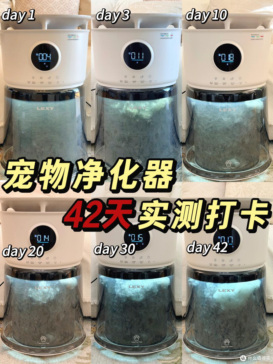 家里猫毛满天飞，宠物空净到底怎么选？莱克C9铲毛官适合养猫家庭