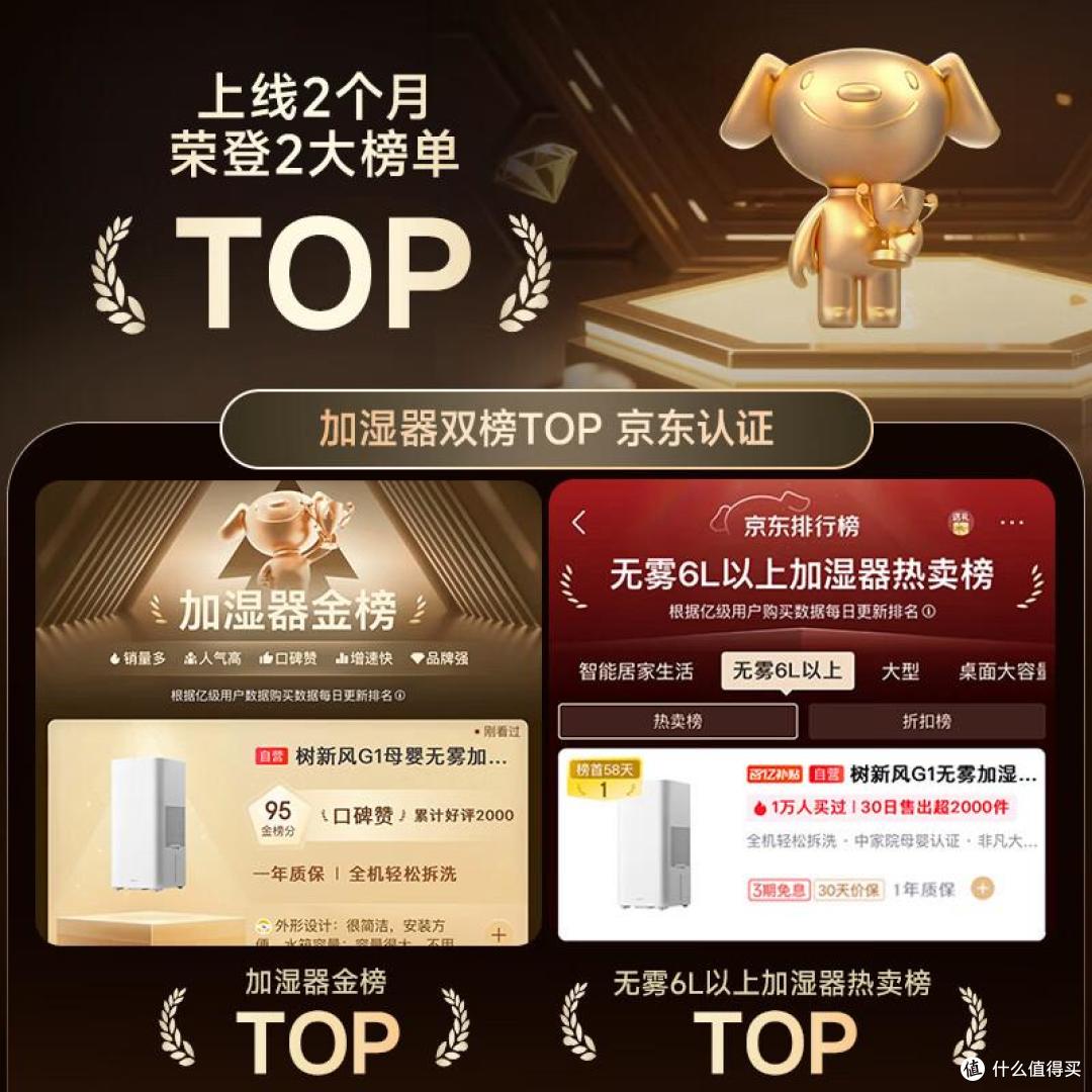 树新风G1加湿器:告别干燥