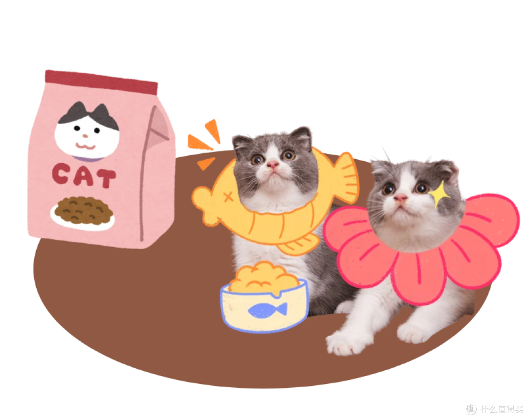 新手养猫怎么选猫粮？