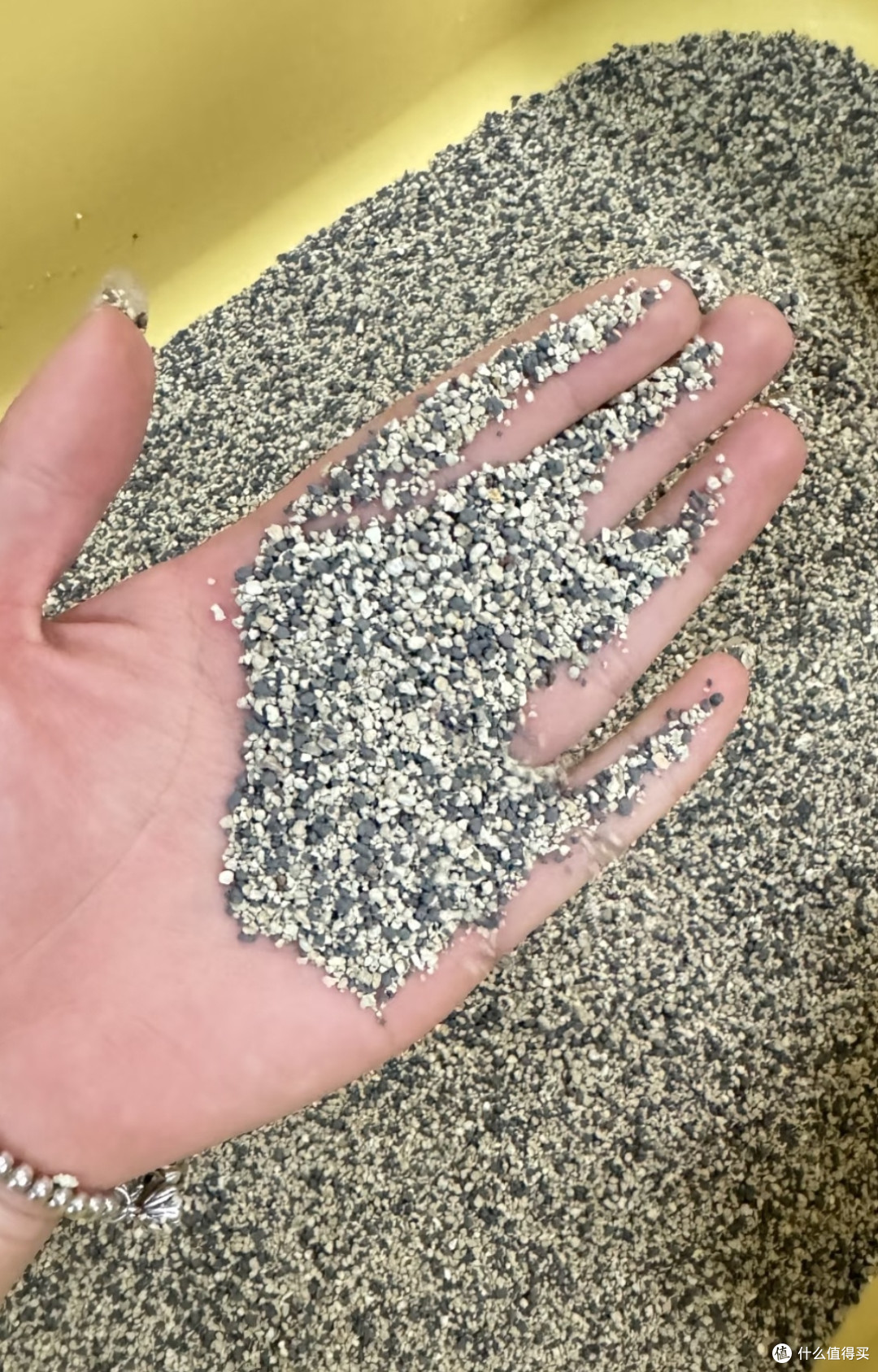 618真实种草手记：铲屎官必囤！超实用宠物好物分享