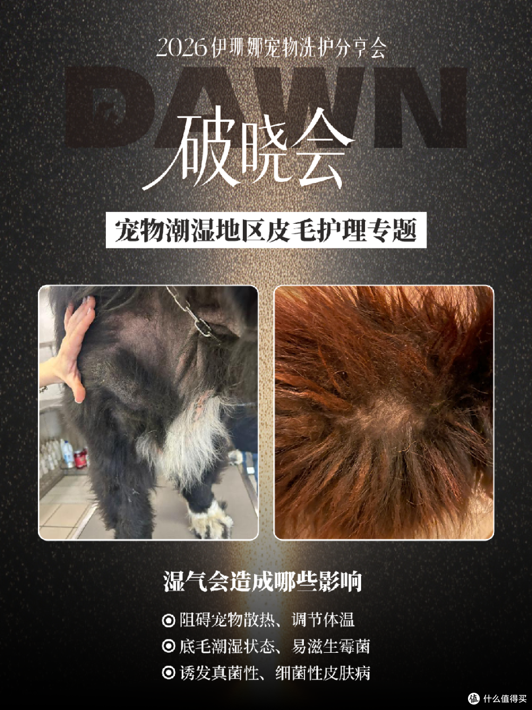 伊珊娜破晓会·广州站 | Monique Van de Ven：伊珊娜技术灵魂人物