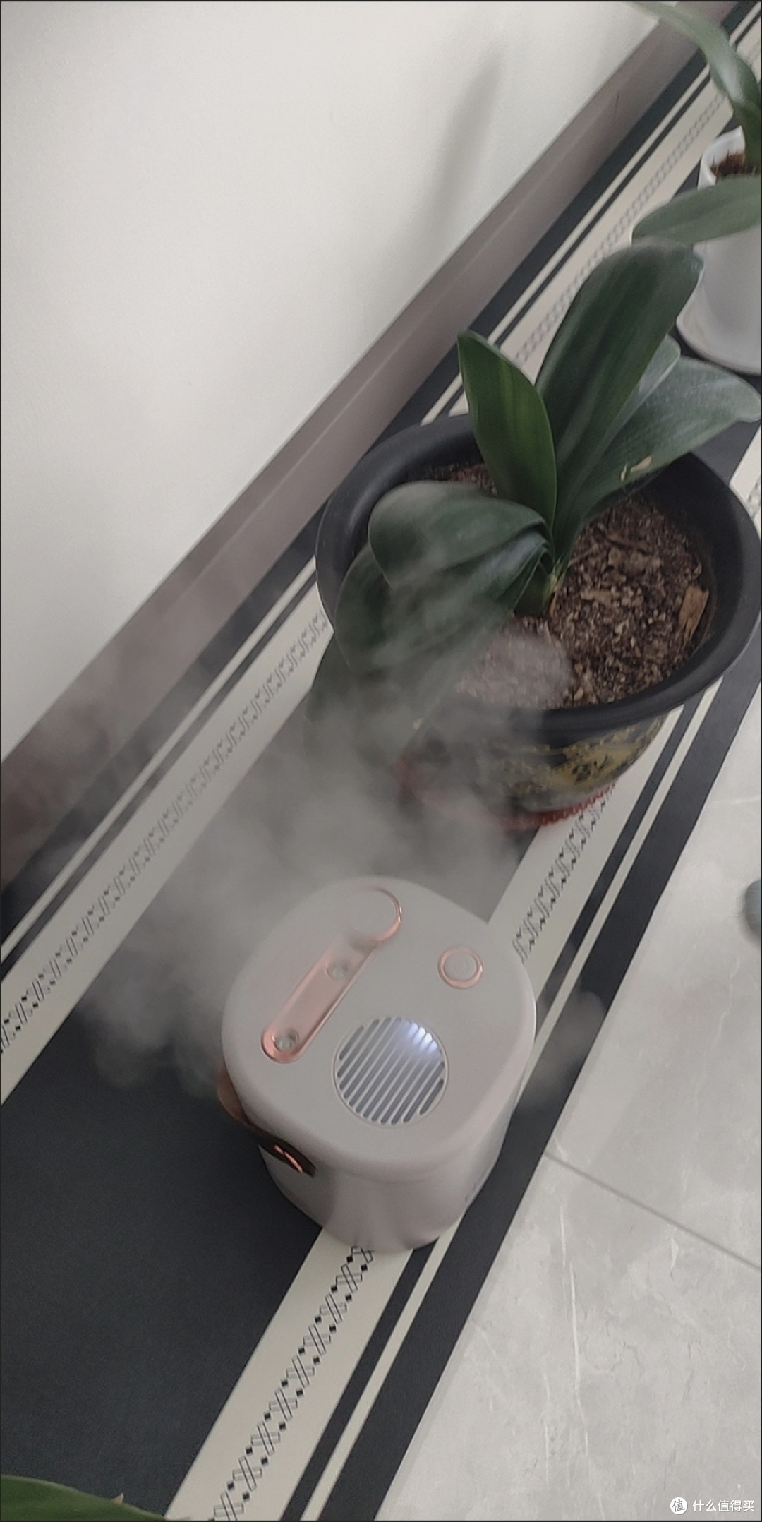618优惠入手的静音加湿器体验