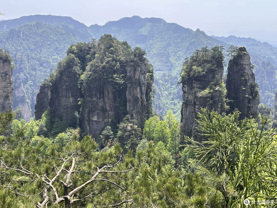 暑假带娃爬“天上”的那座山：天门山亲子体验