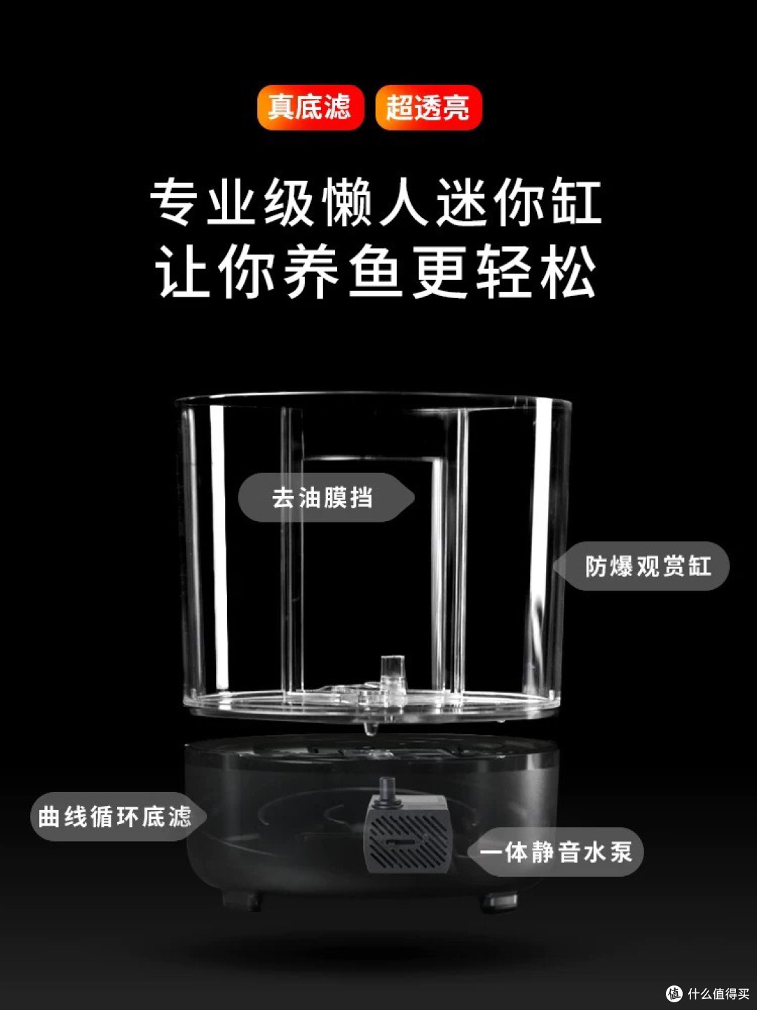 微型水族馆:在办公桌上养一片会呼吸的海,看小鱼游走所有焦虑