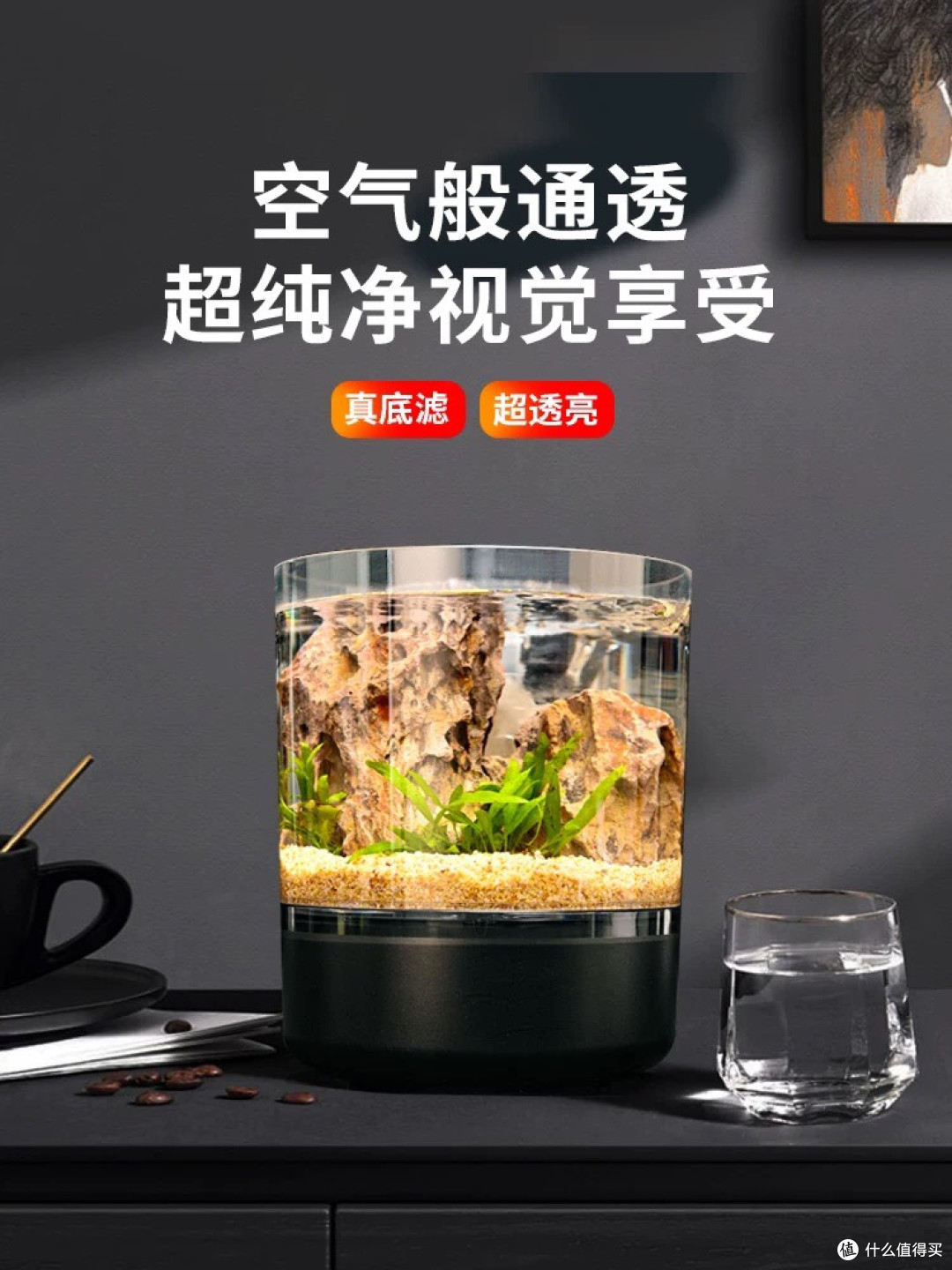 微型水族馆:在办公桌上养一片会呼吸的海,看小鱼游走所有焦虑