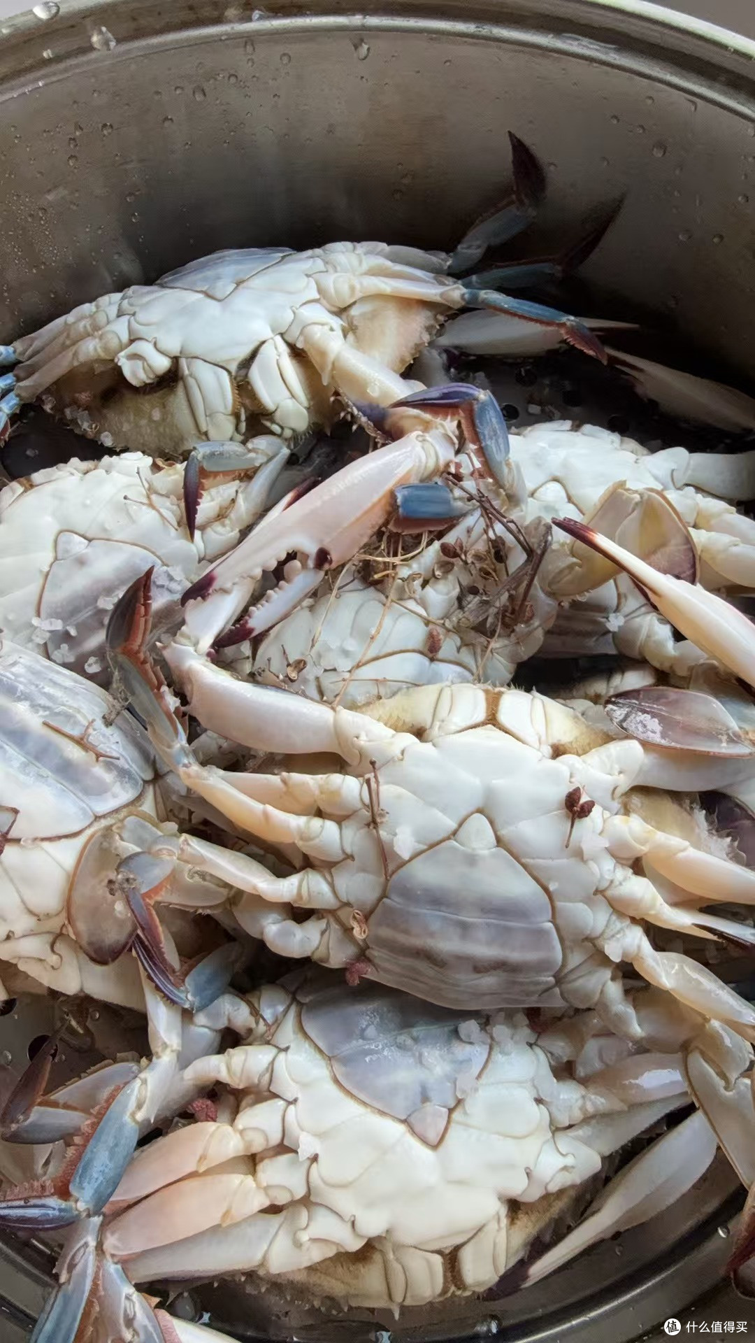 价格便宜的，顶级食材清单