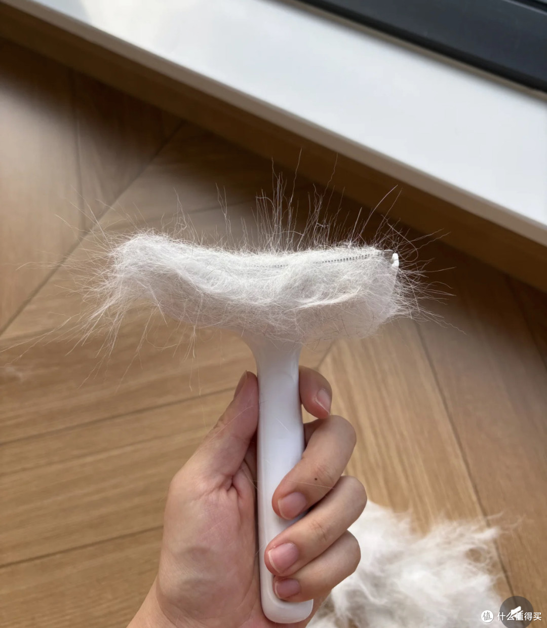 告别猫毛：一把梳子的妙用