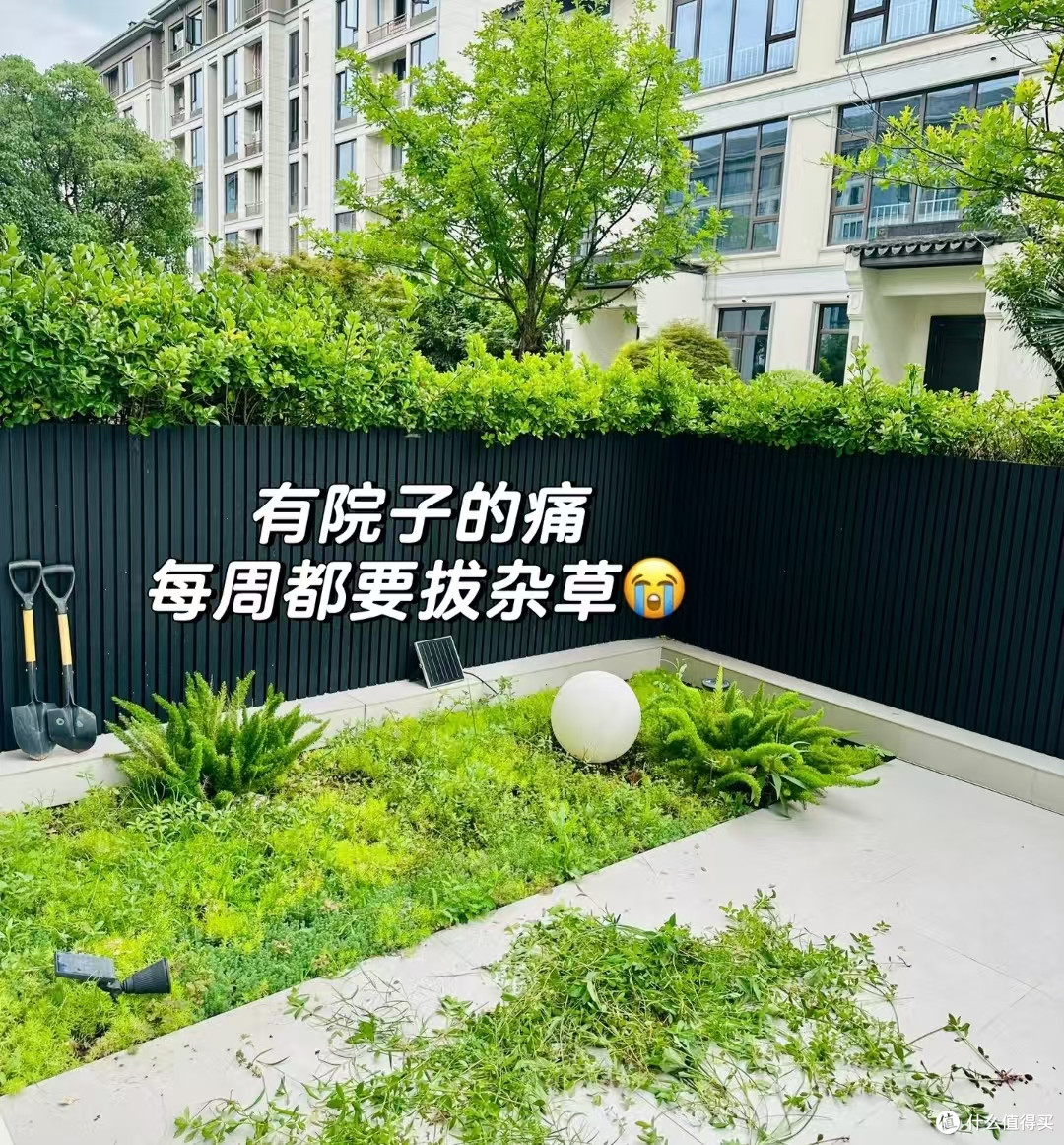 为了一个院子买一楼，到底值不值？住了3年后，说说我的真实感受
