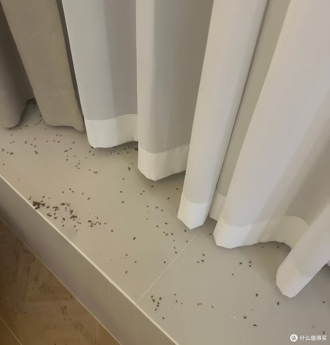 为了一个院子买一楼，到底值不值？住了3年后，说说我的真实感受