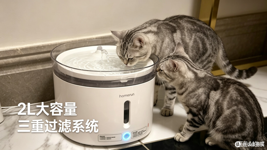 拒绝“死水”与“噪音”——霍曼饮水机,让我家猫从此爱上喝水