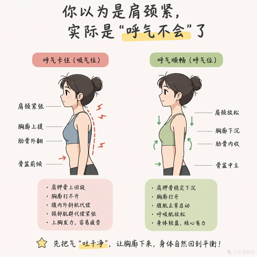 肩颈越拉越紧？10分钟呼吸+拉伸，胸廓沉下来，脖子松快了