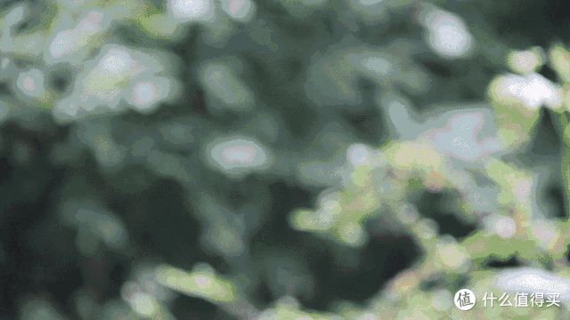 文章配图-2