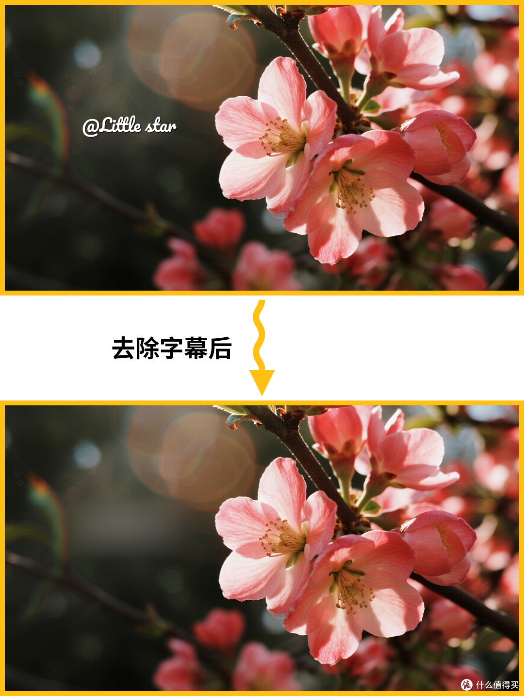 视频字幕去除有哪些方法?从新手到专业级别都有