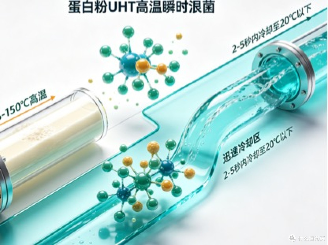 口感与营养双优,健身增肌党无限回购2026蛋白粉哪个牌子复购率高