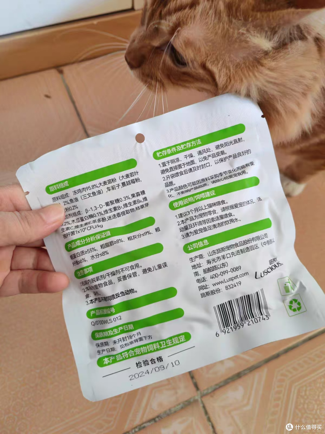养猫最头疼的就是种猫草+猫咪吐毛球两件事😭