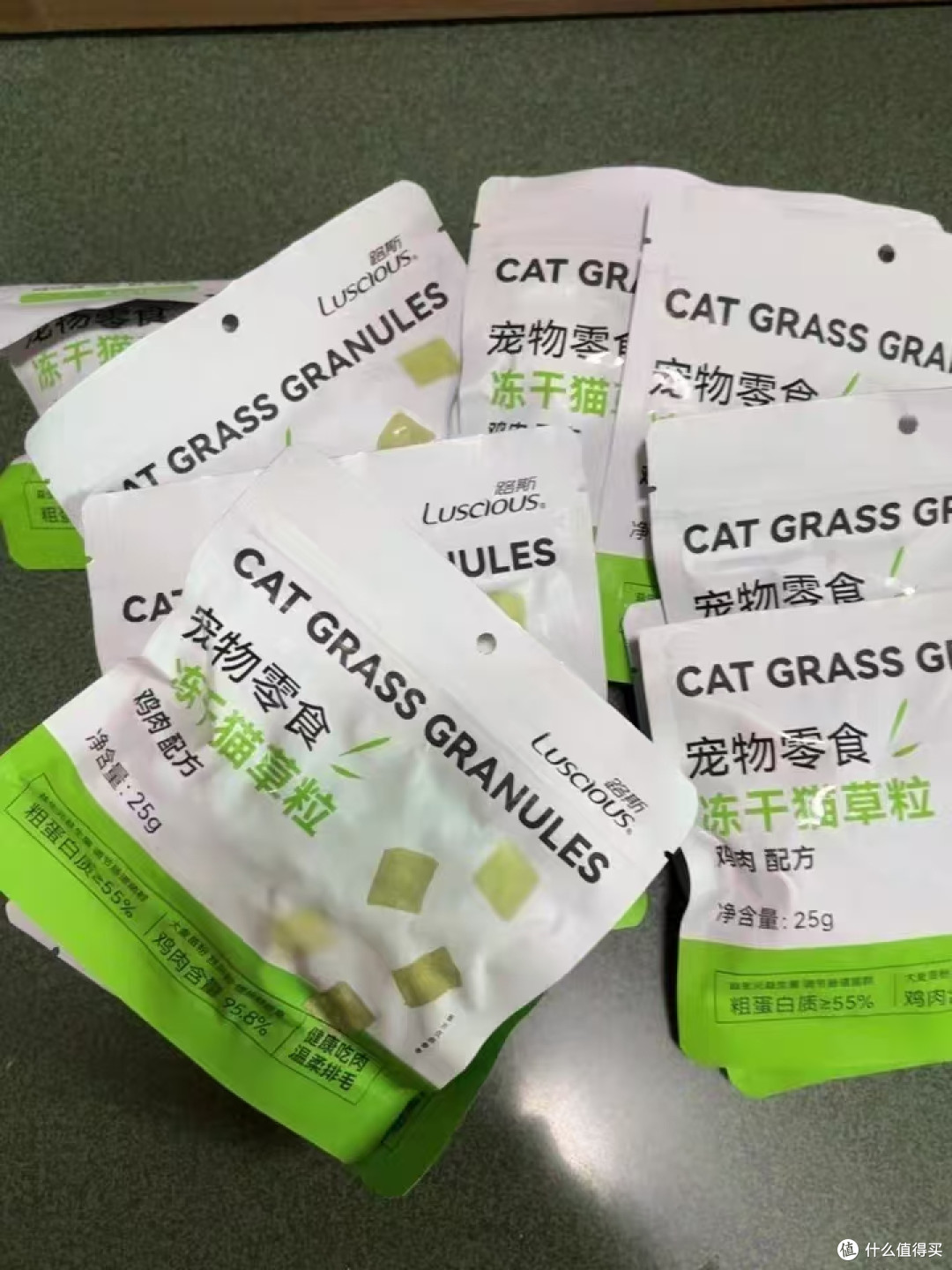 养猫最头疼的就是种猫草+猫咪吐毛球两件事😭