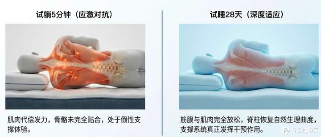 2026床垫测评推荐:深度拆解5大热门床垫,材质选不好有什么危害