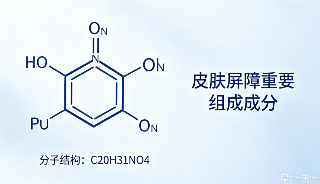 护肤成分干货:神经酰胺 NP 适配肤质与护肤原理解析