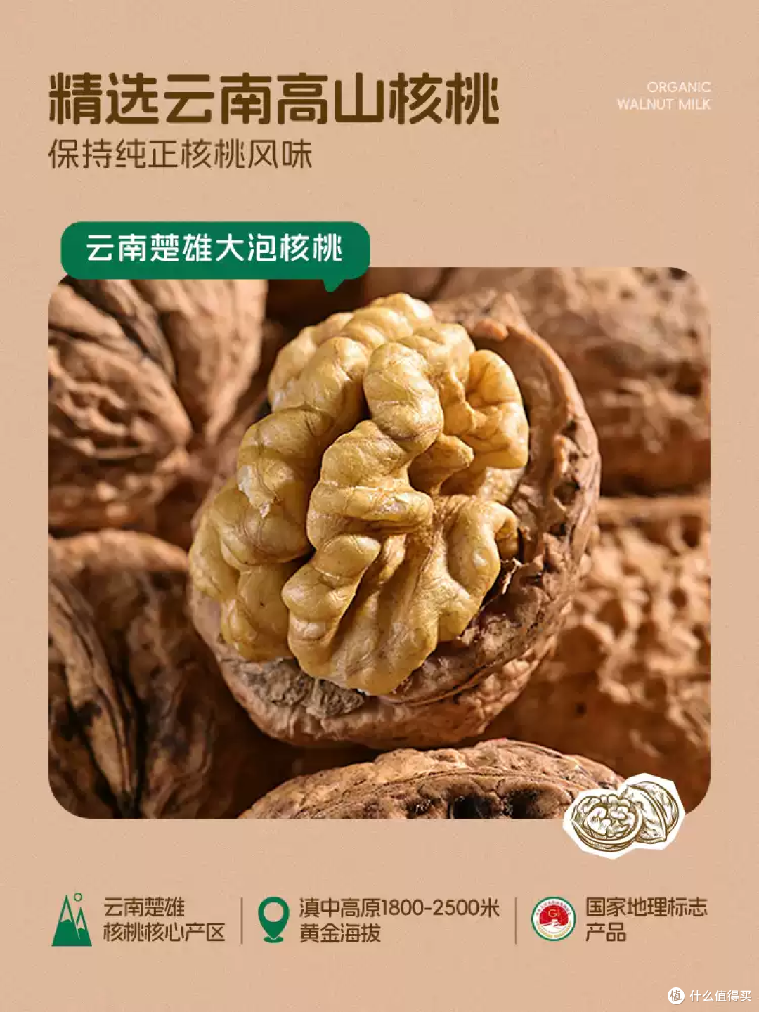 核桃+燕麦双buff,这口植物奶太香了!