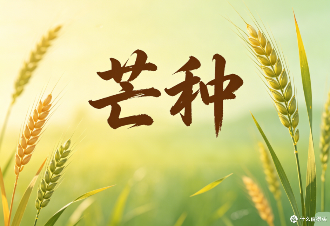 6月5日芒种,再忙也要记得吃“5个第一”,顺应时节,进入盛夏