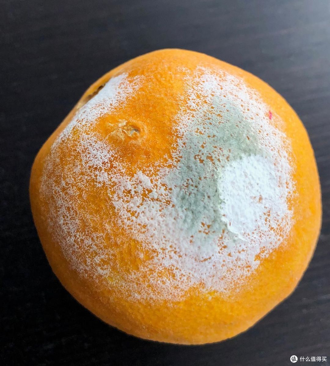 夏天越苦越清热?这 4 种「苦」吃一口就可能进医院