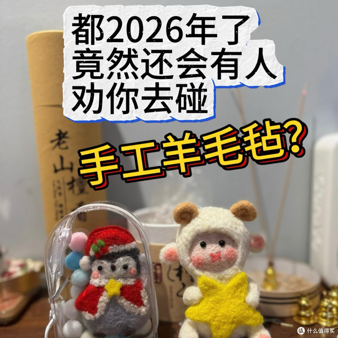 新手入坑羊毛毡的思考