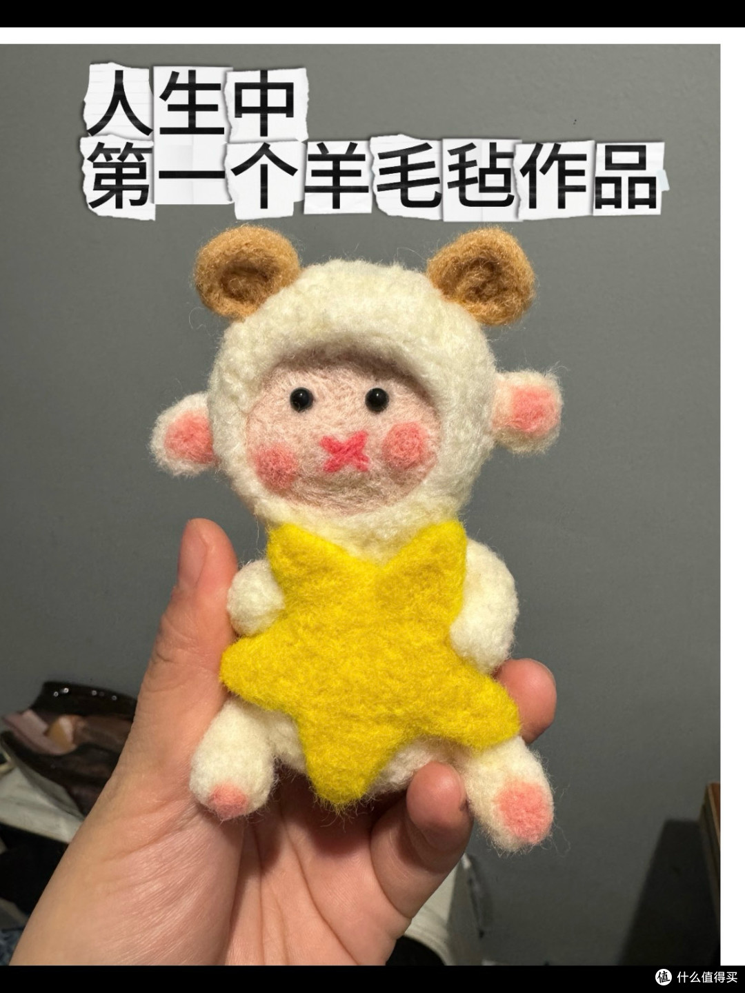 新手入坑羊毛毡的思考