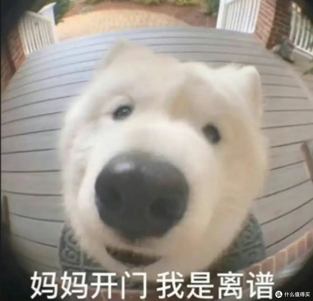 网盘大清洗,开始了...