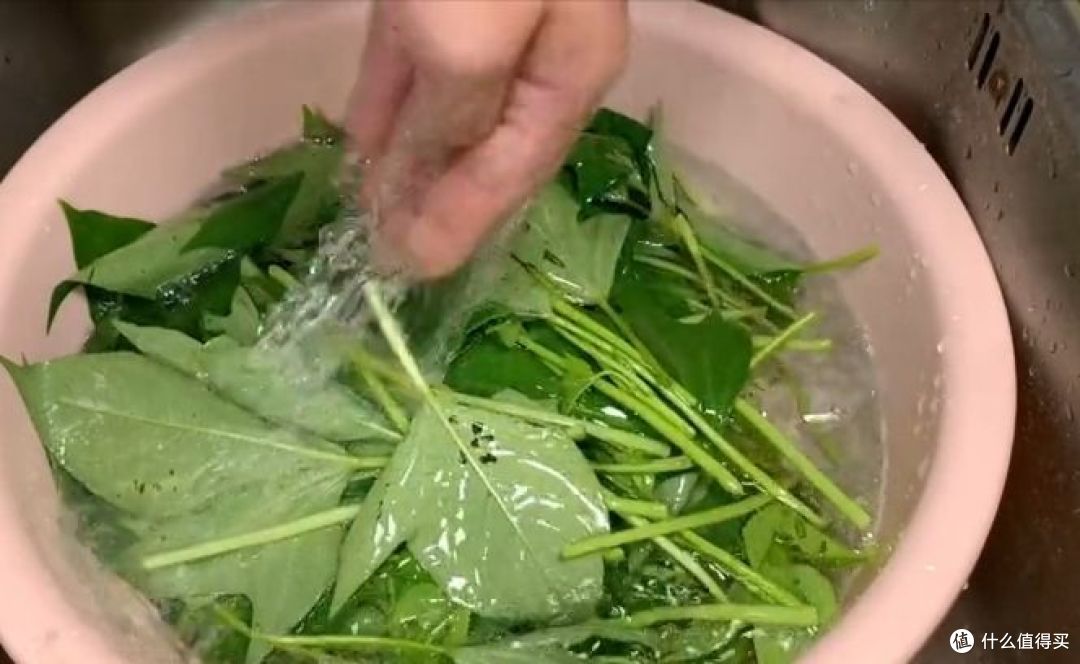 这道“蒜蓉炒红薯叶”看似简单,其实做起来也是个技术活
