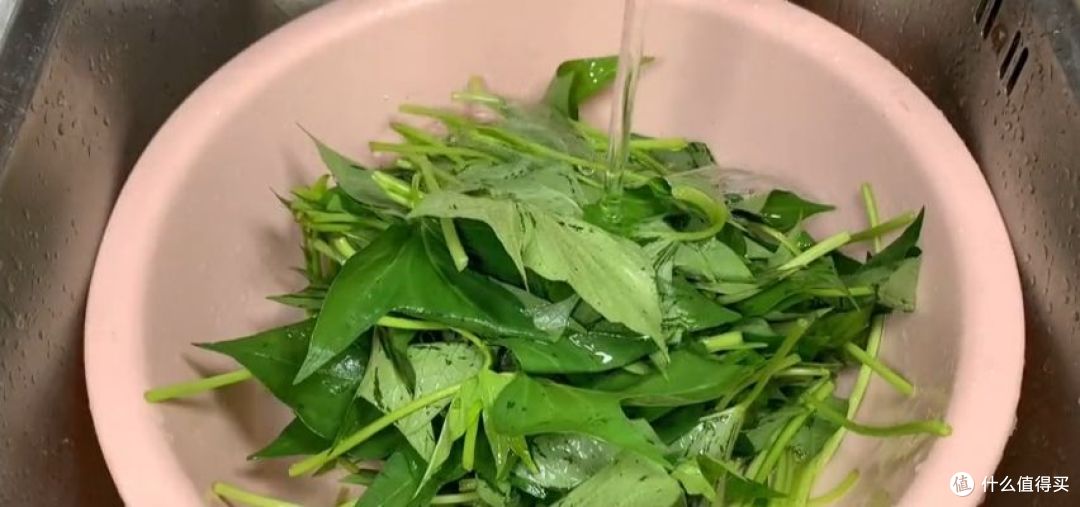 这道“蒜蓉炒红薯叶”看似简单,其实做起来也是个技术活